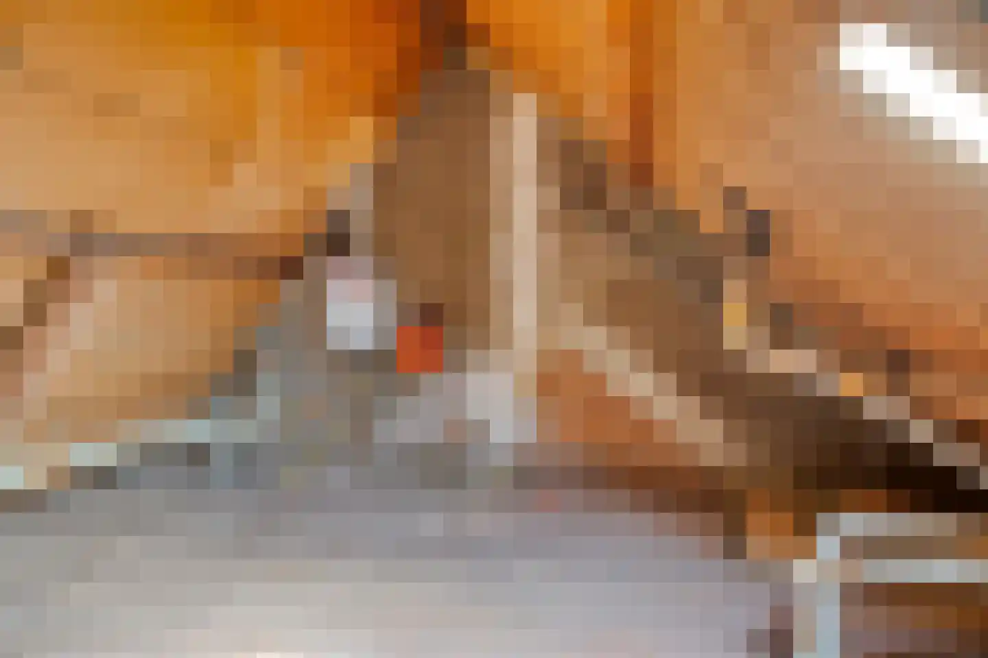 Scheidingsweg 13 Roermond thumbnail 34