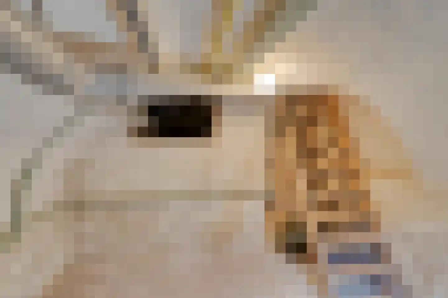 Scheidingsweg 13 Roermond thumbnail 35