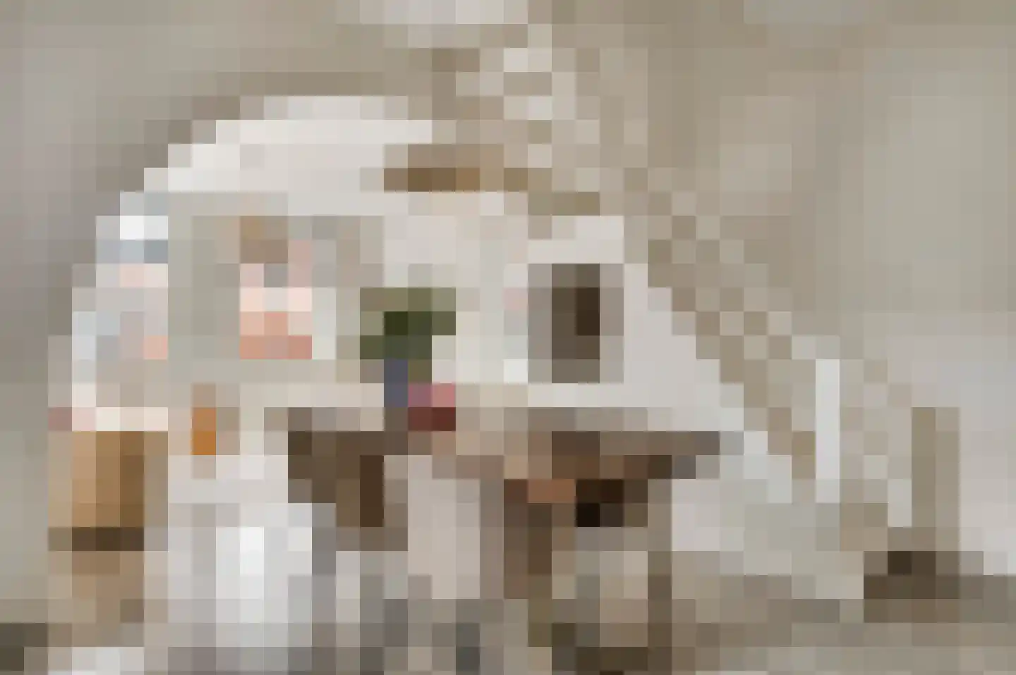 Scheidingsweg 2 Roermond thumbnail 10
