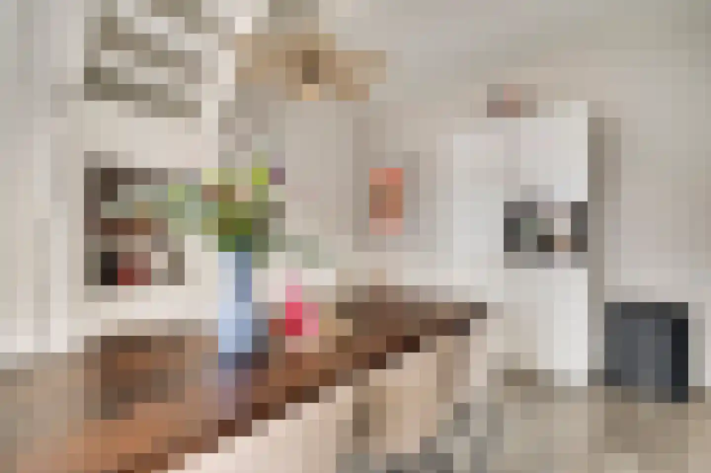 Scheidingsweg 2 Roermond thumbnail 11