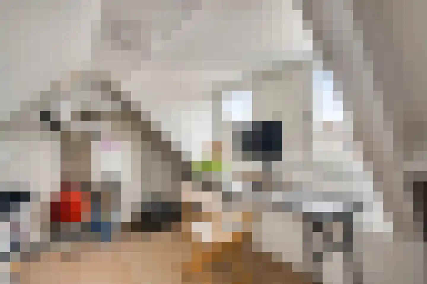 Scheidingsweg 2 Roermond thumbnail 16