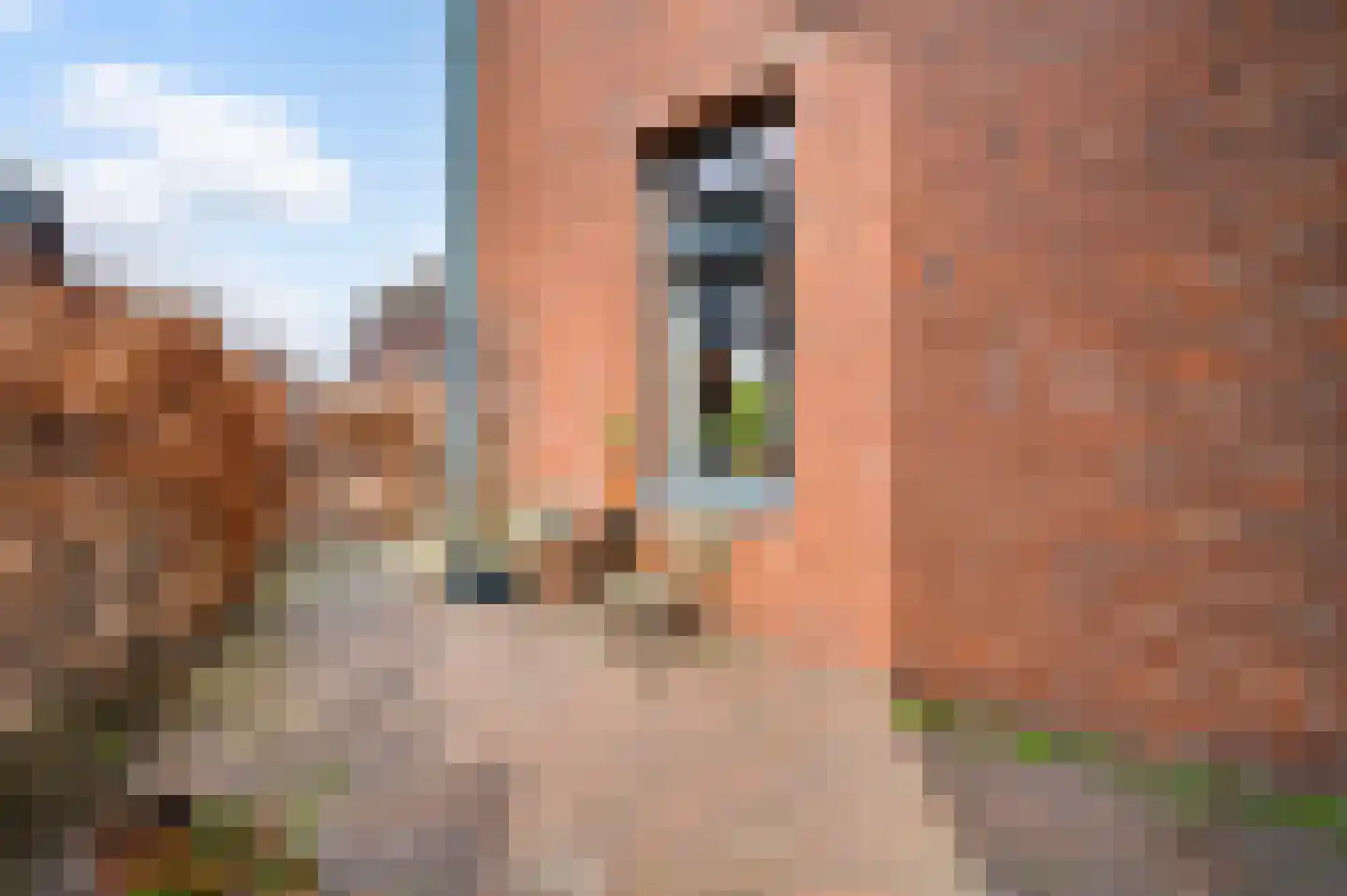 Scheidingsweg 2 Roermond thumbnail 20