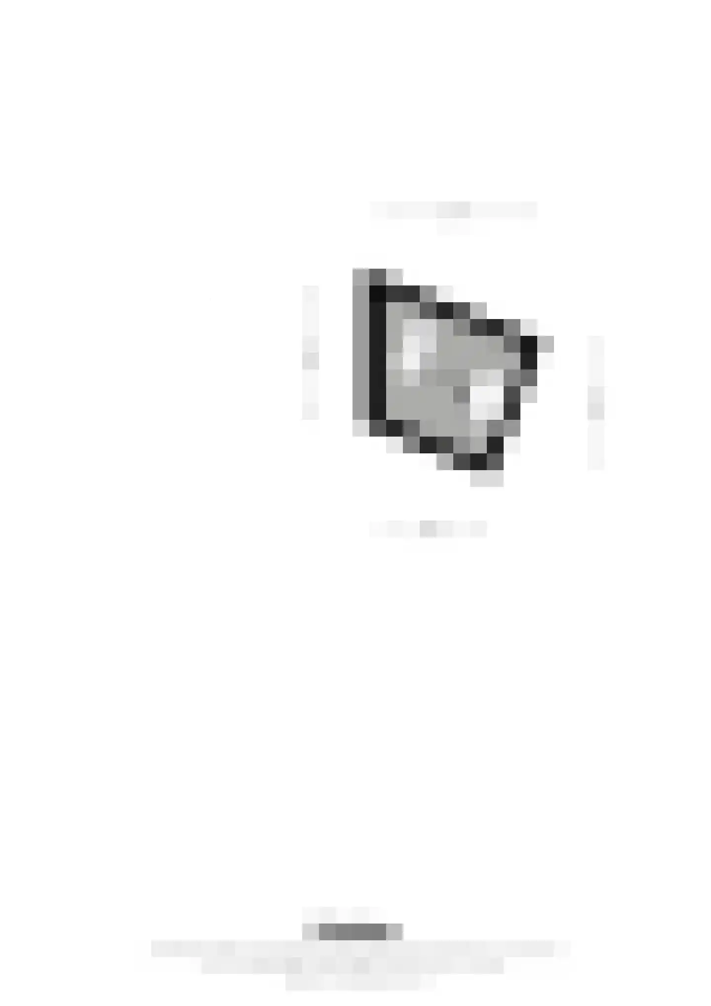 Scheidingsweg 2 Roermond thumbnail 24