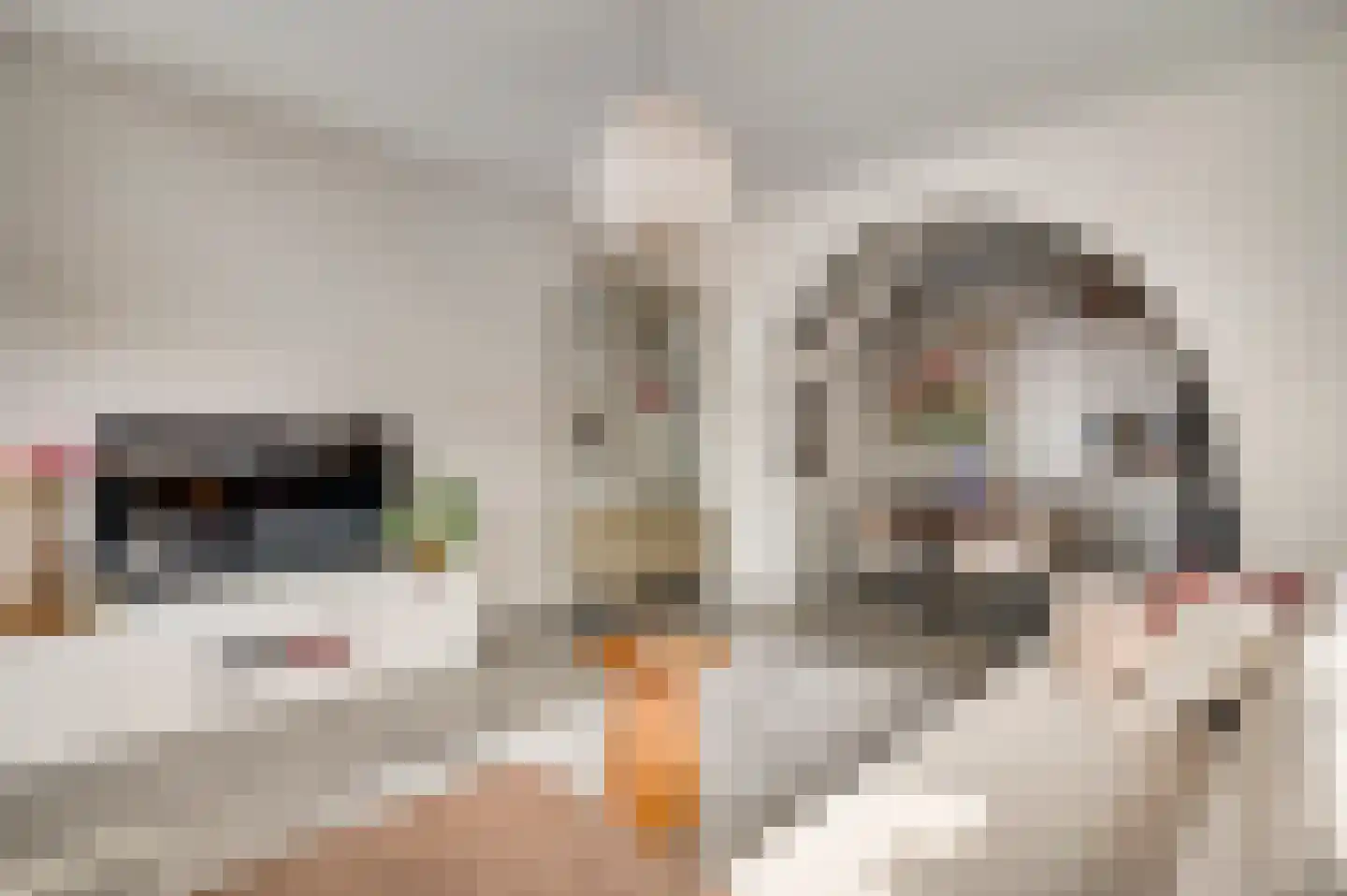 Scheidingsweg 2 Roermond thumbnail 4
