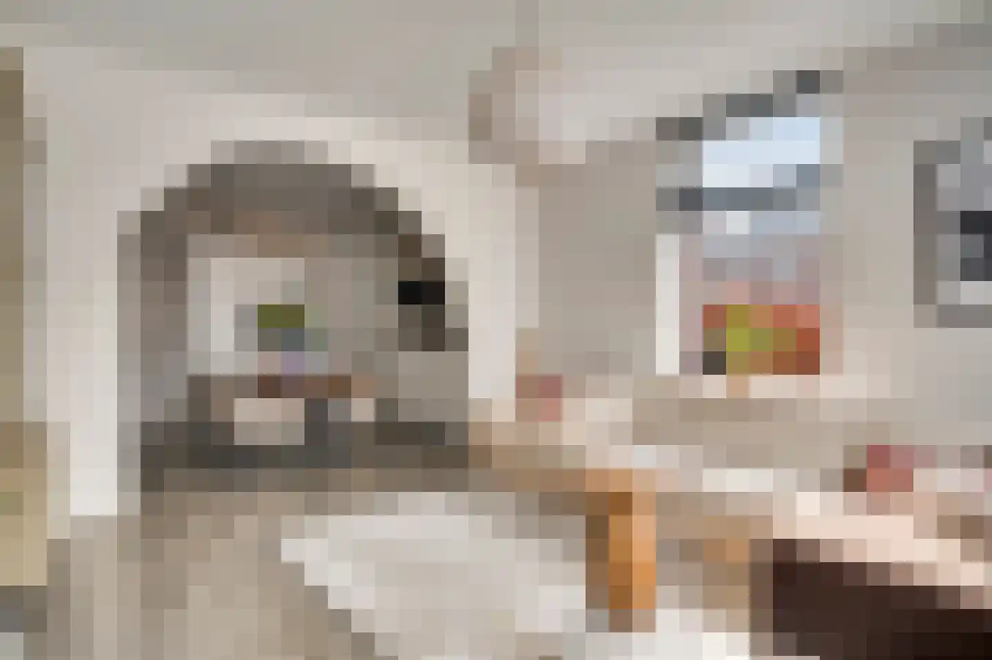 Scheidingsweg 2 Roermond thumbnail 9