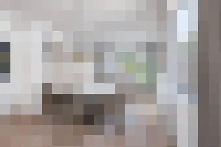 Scheidingsweg 22 Nijmegen thumbnail 12