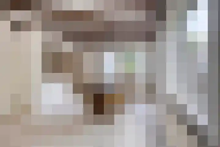 Scheidingsweg 22 Nijmegen thumbnail 13