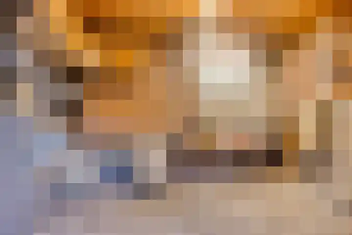 Scheidingsweg 22 Nijmegen thumbnail 30