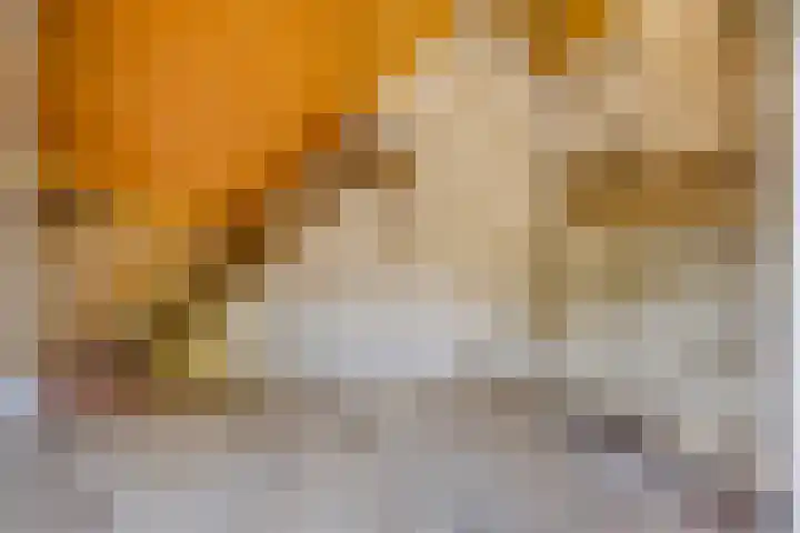 Scheidingsweg 22 Nijmegen thumbnail 34