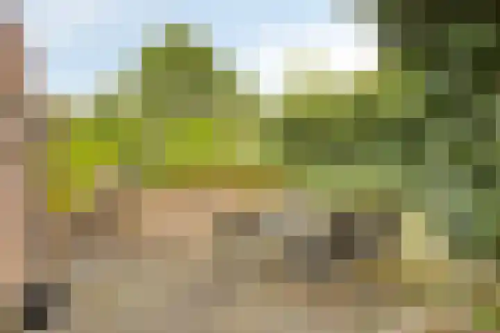 Scheidingsweg 22 Nijmegen thumbnail 38