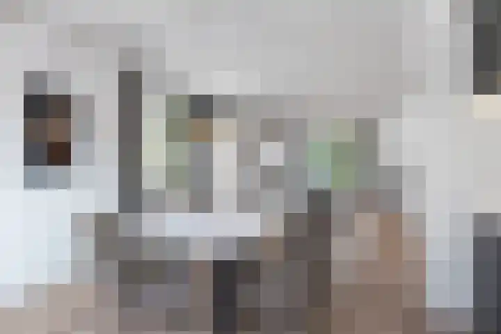 Scheidingsweg 22 Nijmegen thumbnail 4