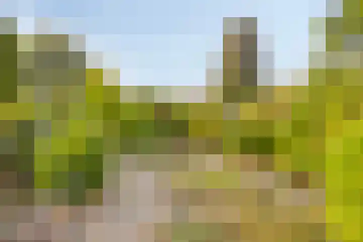 Scheidingsweg 22 Nijmegen thumbnail 40