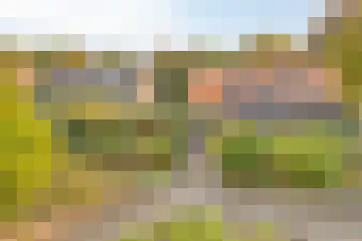 Scheidingsweg 22 Nijmegen thumbnail 41