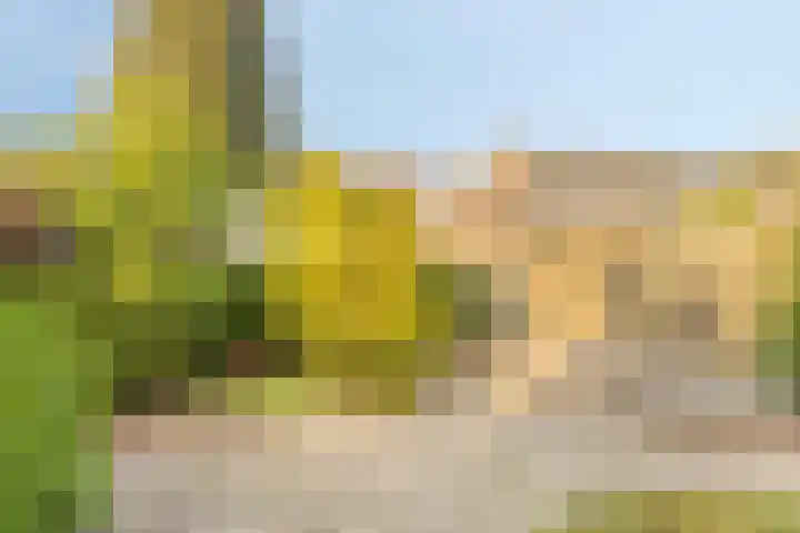 Scheidingsweg 22 Nijmegen thumbnail 42