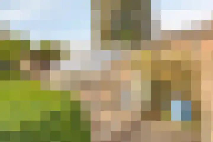 Scheidingsweg 22 Nijmegen thumbnail 43
