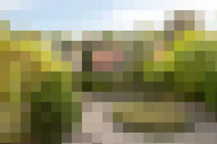 Scheidingsweg 22 Nijmegen thumbnail 44