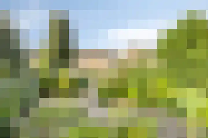 Scheidingsweg 22 Nijmegen thumbnail 45