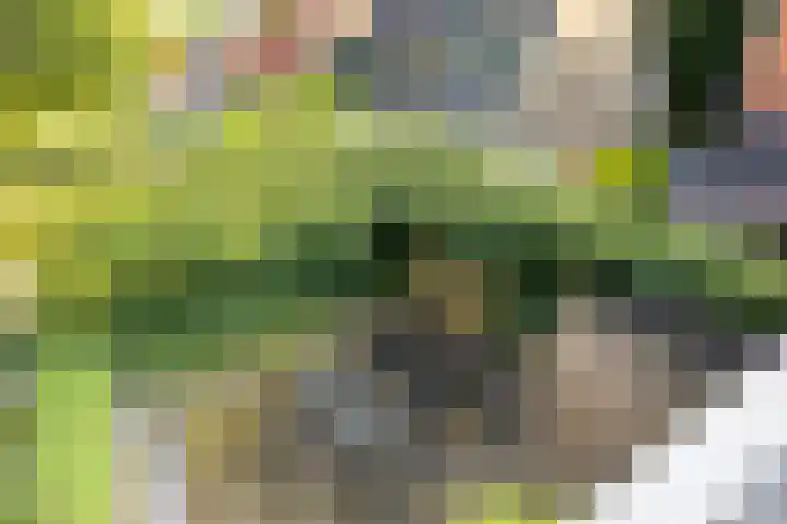 Scheidingsweg 22 Nijmegen thumbnail 46