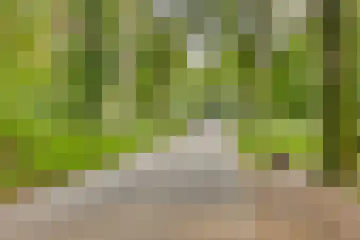 Scheidingsweg 22 Nijmegen thumbnail 49