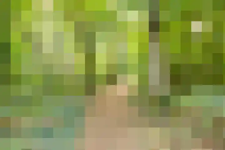 Scheidingsweg 22 Nijmegen thumbnail 50
