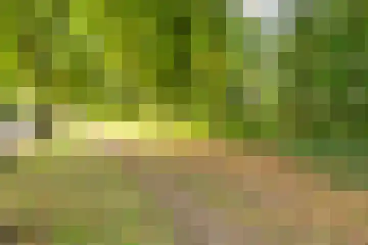 Scheidingsweg 22 Nijmegen thumbnail 51