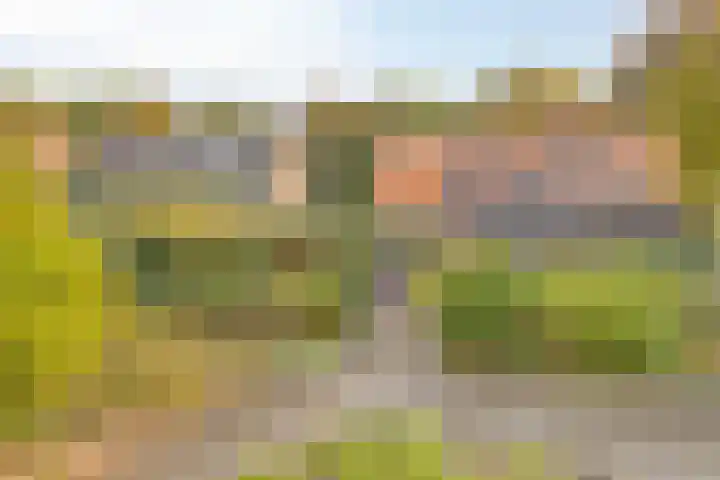 Scheidingsweg 22 Nijmegen thumbnail 6