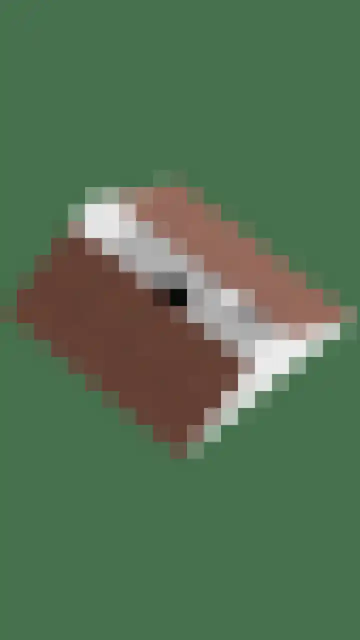 Scheidingsweg 22 Nijmegen thumbnail 61