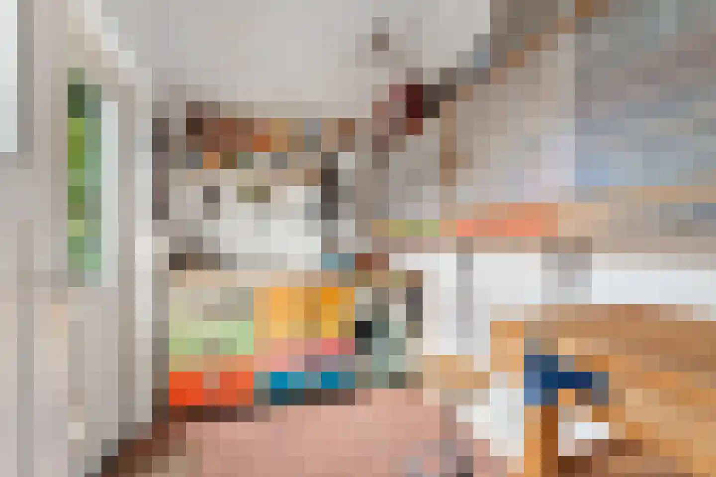 Scheidingsweg 32 Nijmegen thumbnail 20