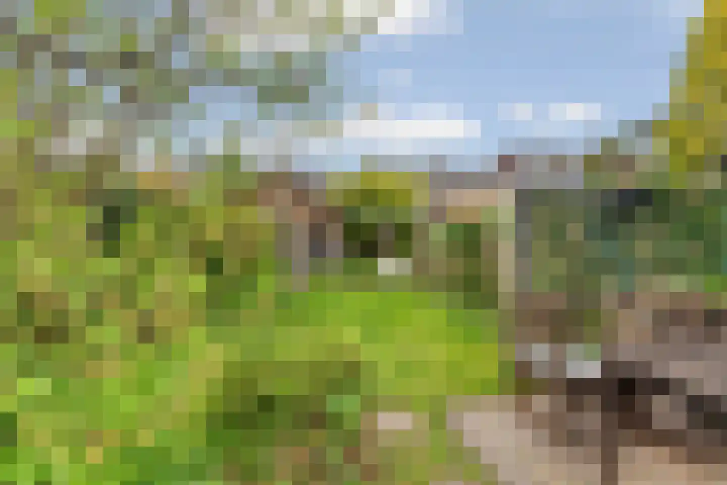 Scheidingsweg 32 Nijmegen thumbnail 39