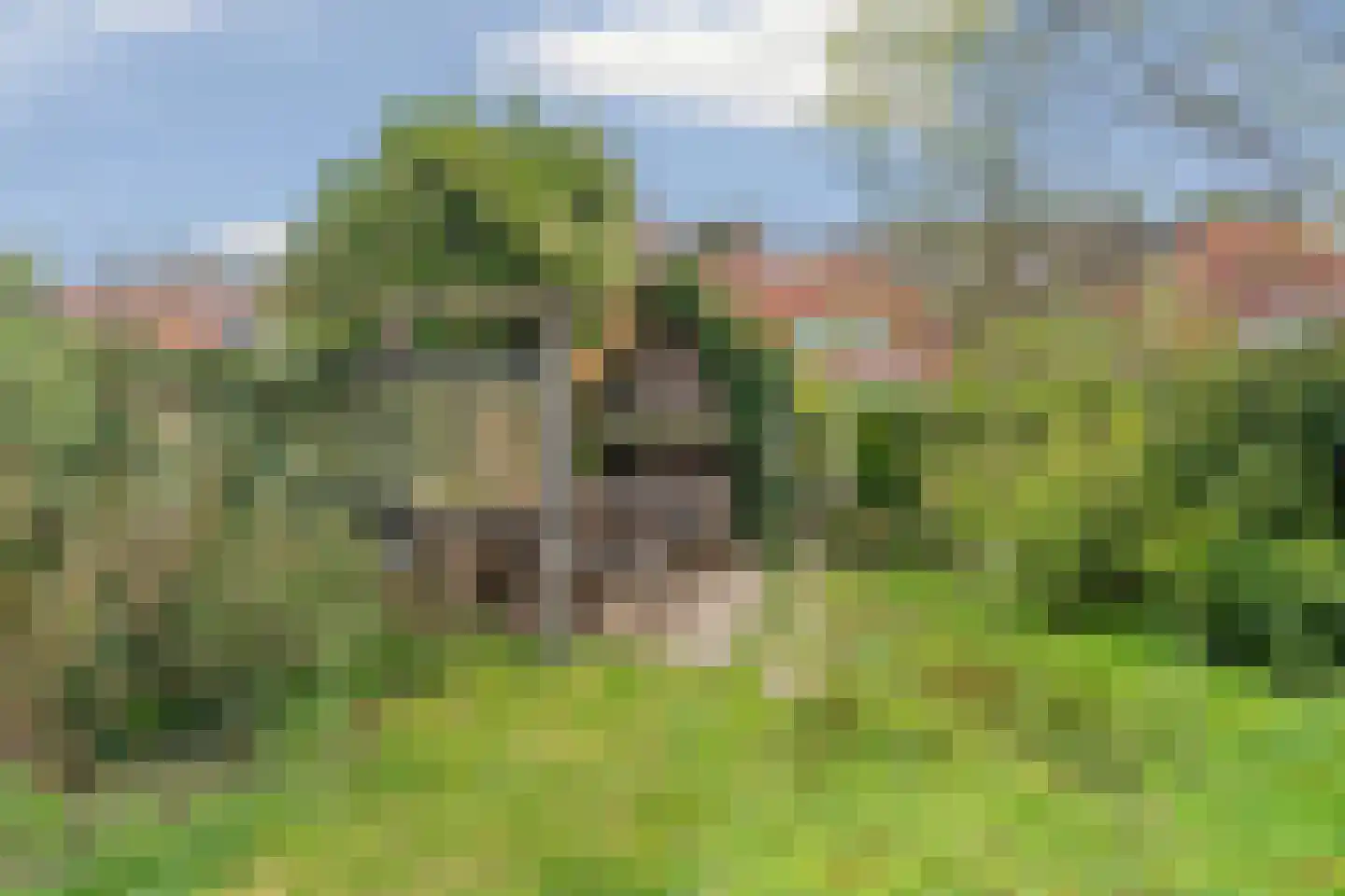Scheidingsweg 32 Nijmegen thumbnail 4