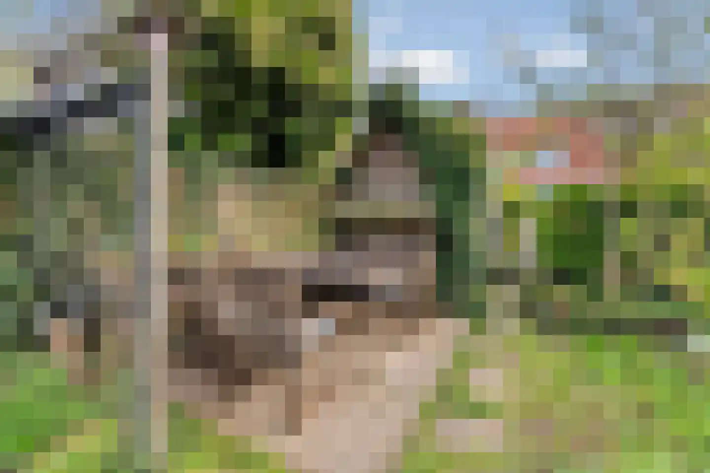 Scheidingsweg 32 Nijmegen thumbnail 4