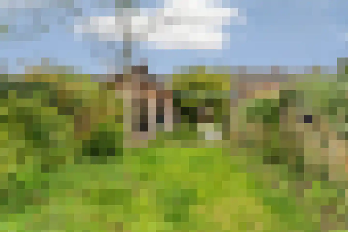 Scheidingsweg 32 Nijmegen thumbnail 40