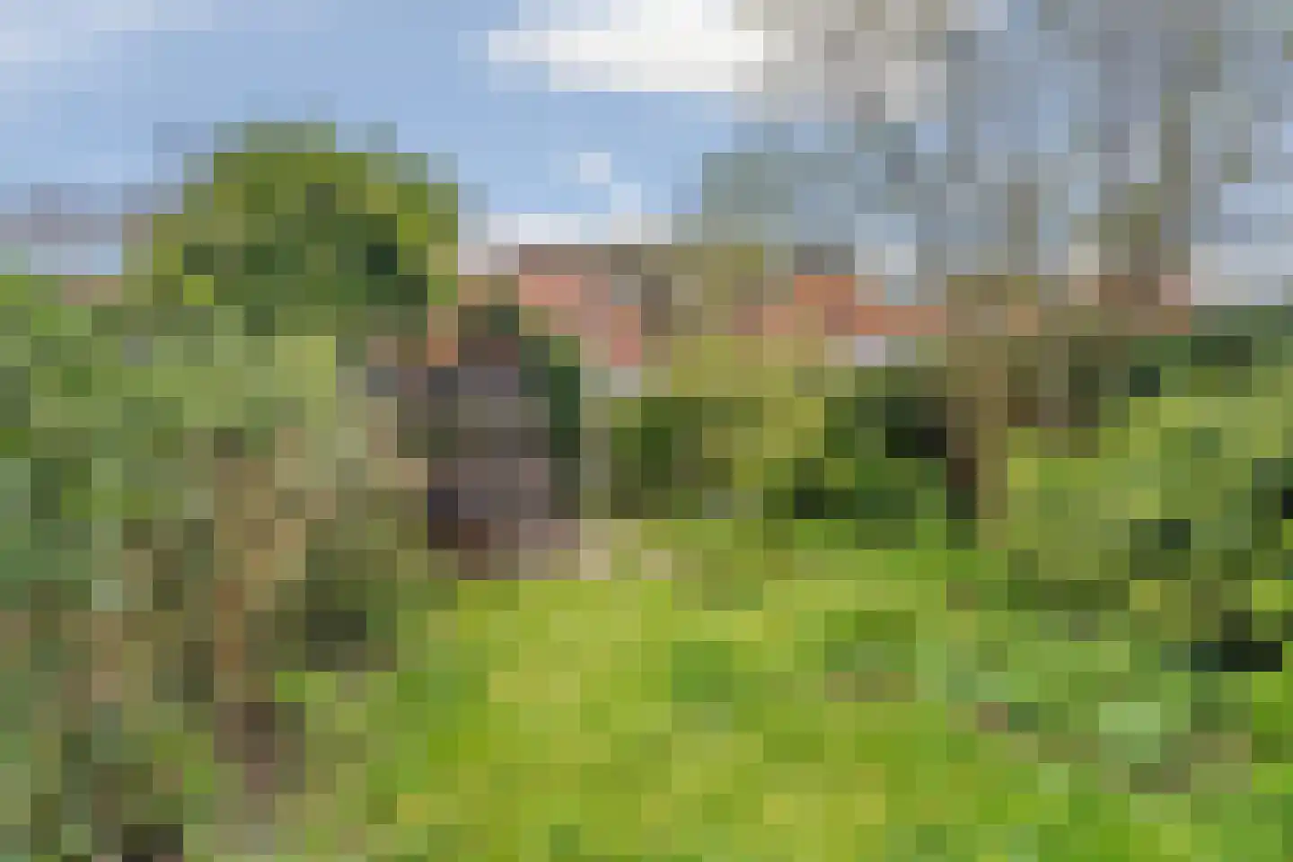 Scheidingsweg 32 Nijmegen thumbnail 41