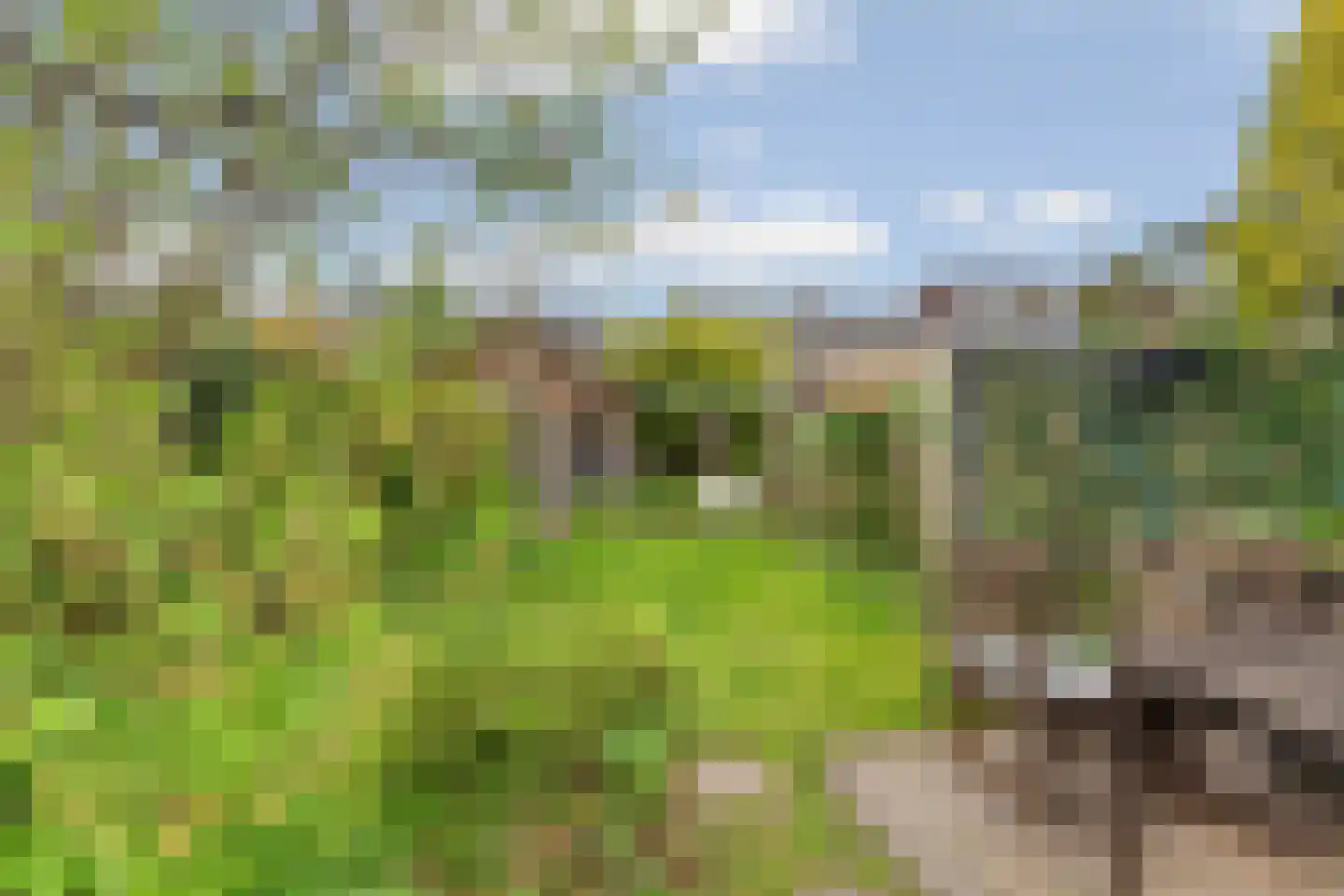 Scheidingsweg 32 Nijmegen thumbnail 42