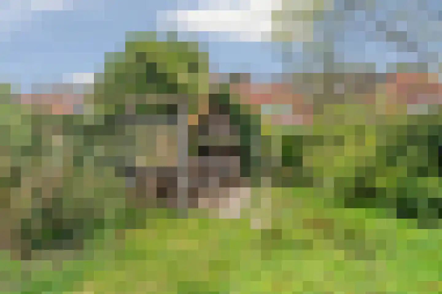 Scheidingsweg 32 Nijmegen thumbnail 42