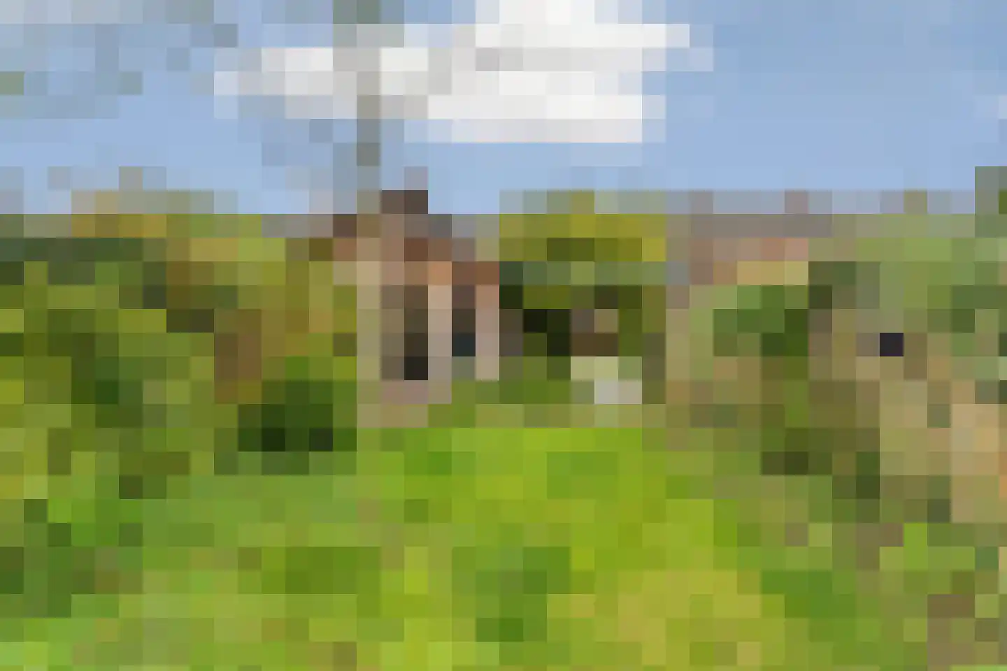 Scheidingsweg 32 Nijmegen thumbnail 43