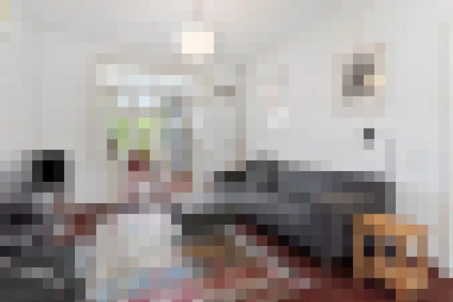 Scheidingsweg 32 Nijmegen thumbnail 8