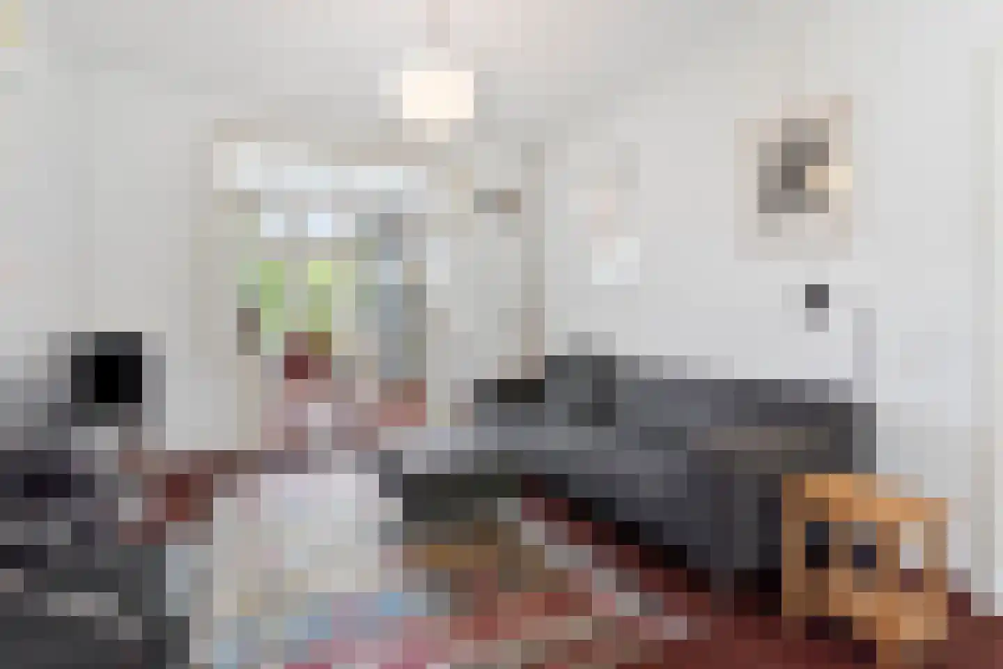 Scheidingsweg 32 Nijmegen thumbnail 9