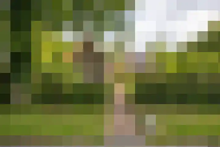 Scheidingsweg 40 Een-West thumbnail 11