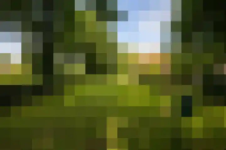 Scheidingsweg 40 Een-West thumbnail 12
