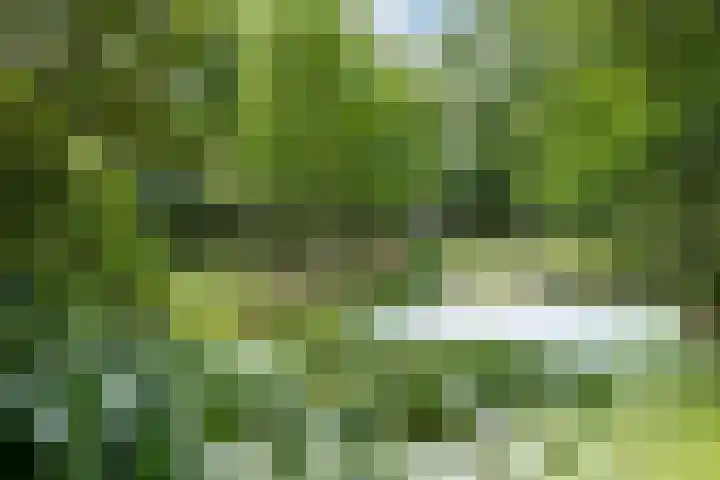Scheidingsweg 40 Een-West thumbnail 13