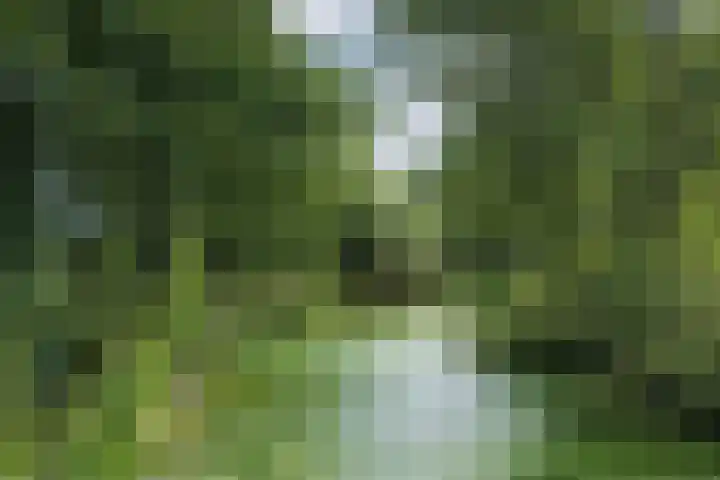 Scheidingsweg 40 Een-West thumbnail 15