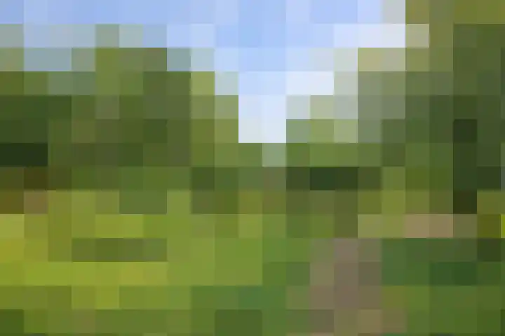 Scheidingsweg 40 Een-West thumbnail 16