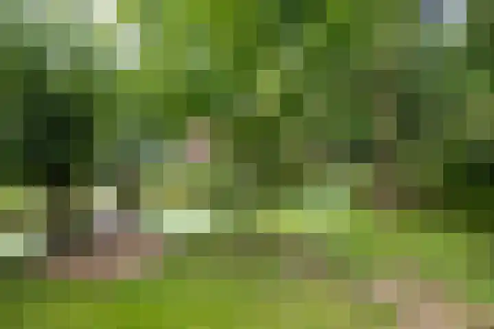 Scheidingsweg 40 Een-West thumbnail 17