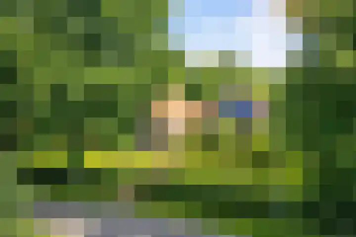 Scheidingsweg 40 Een-West thumbnail 18