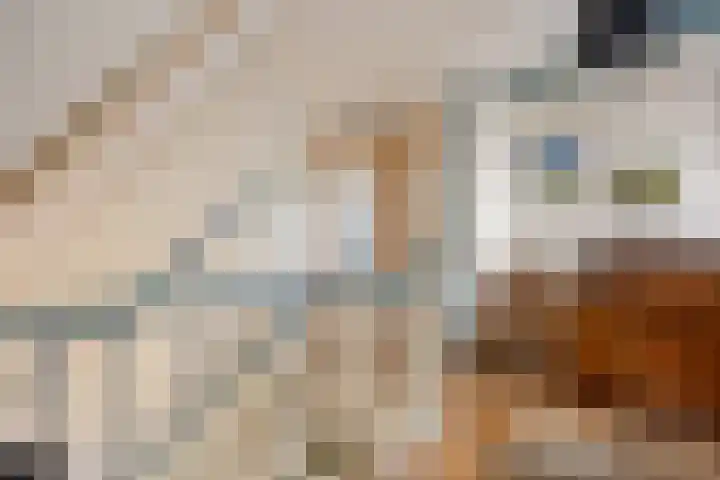Scheidingsweg 40 Een-West thumbnail 36