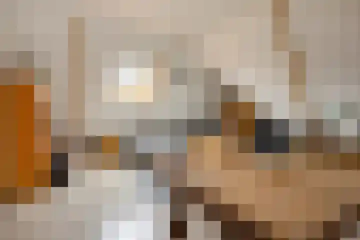 Scheidingsweg 40 Een-West thumbnail 38