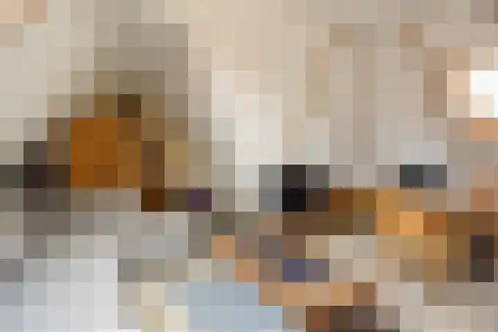 Scheidingsweg 40 Een-West thumbnail 39