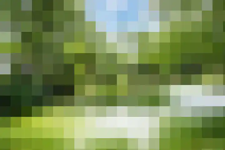 Scheidingsweg 40 Een-West thumbnail 4