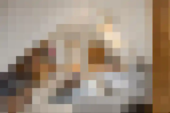 Scheidingsweg 40 Een-West thumbnail 40